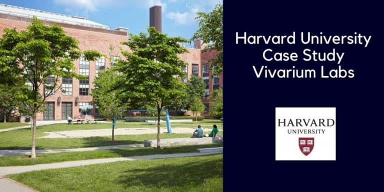 Harvard case study